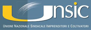 Unsic